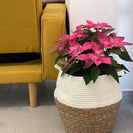 Nuevo Apartamento Folin ドン・ベニート エクステリア 写真