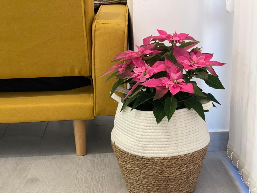 Nuevo Apartamento Folin ドン・ベニート エクステリア 写真